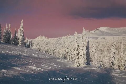 Сибирь новые главные