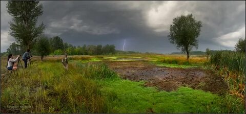 Болото любви