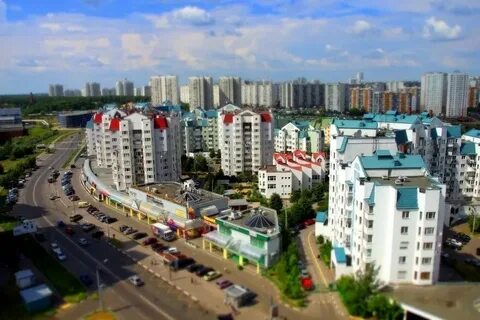 Фонд митино