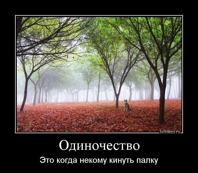 Кинь палочку. Демотиваторы про одиночество. Одиночество юмор. Одиночество смешно. Это одиночество.