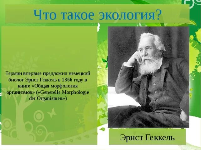 Термин экология в 1866 году. Эрнст Геккель в 1866 году. Эрнст Геккель экология год. Биолог Эрнст Геккель. Эрнст Геккель общая морфология организмов.