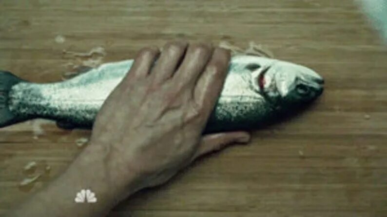 Джонни ноксвилл с рыбой. Бить рыбой. Пощечина рыбой. Джонни ноксвилл jackass. Бить рыбой.