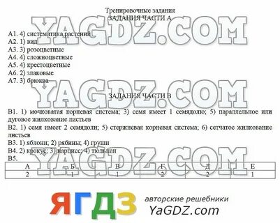 Упражнение 179 5 класс