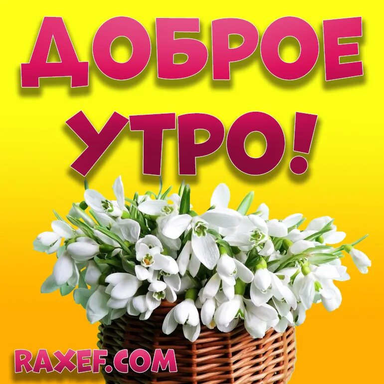 С добрым утром с подснежниками и пожеланиями. Доброе утро подснежники в вазе. Доброе утро с подснежниками с пожеланиями. Открытки с добрым утром весенние. Букет весенних цветов.
