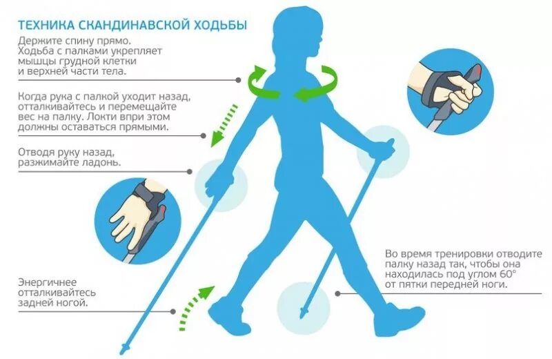 Какой высоты должны быть палки для скандинавской ходьбы. Правильная ходьба с палками для скандинавской ходьбы. Выбрать палки для скандинавской ходьбы по росту таблица. Установить ходьбу. Польза ходьбы.