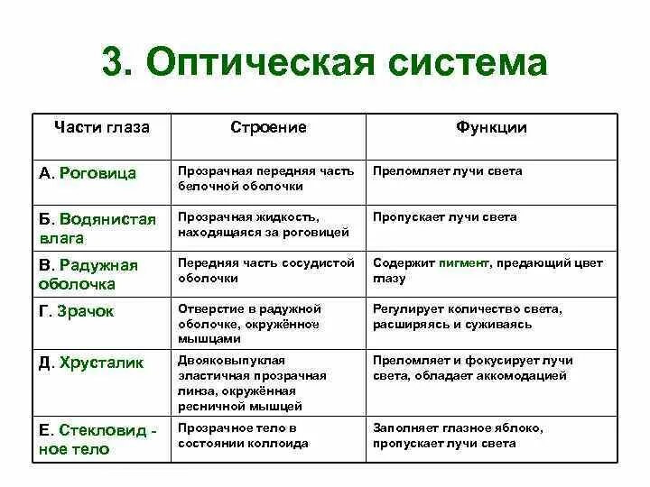 Оптическая система глаза таблица. Части глаза строение системыа и функции. Строение и функции оптической системы глаза. Оптическая система глаза функции.