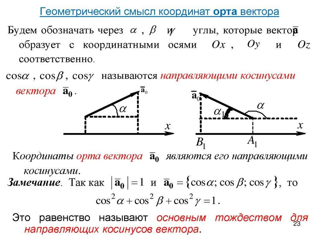 Система орт и модули векторов. Система орт и модули векторов