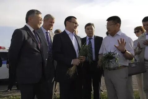 Черный список элиста