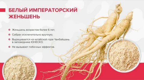 Женьшень польза