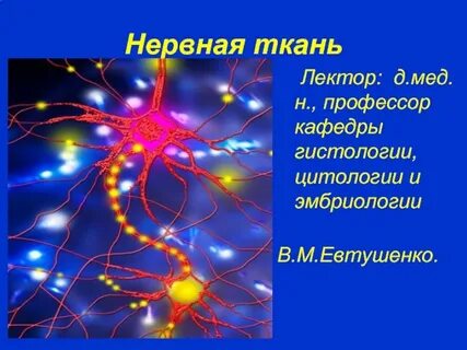 Ткань нервной системы название