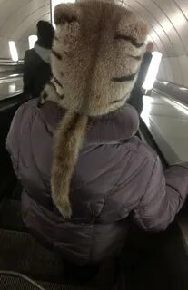 Пушистый модник вологда возрождения