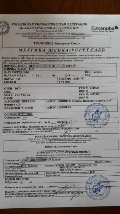 Племенное положение ркф 2025 вязка. Племенное положение ркф 2025 вязка