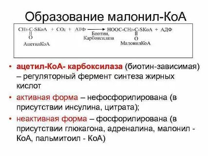 Малонил коа