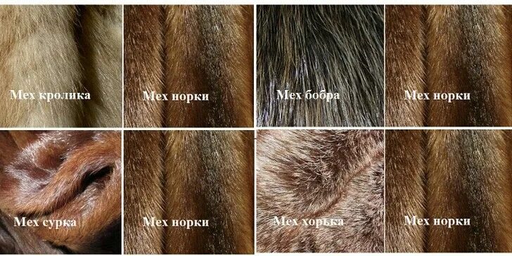 Как определить мех на шубе. Мех сурка мех норки отличия. как распознать мех. как отличить мех норки. мех норка натуральный и искусственный отличия.
