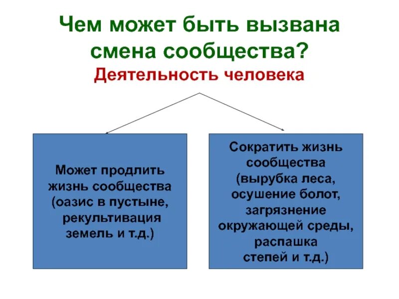 Внутренние причины смены природных сообществ. Чем может быть вызвана смена сообщества. Чем может быть вызвана смена сообщества деятельность человека. Смена сообществ биология. Причины смены природных сообществ.