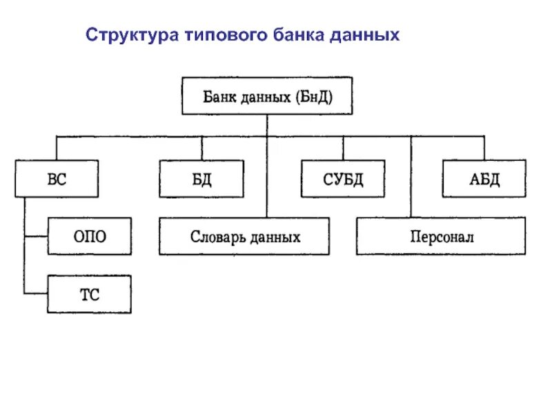 Банк данных истории. Банк данных состав схема. Схема общей структуры банка данных. Состав банка данных. Пример банка данных.