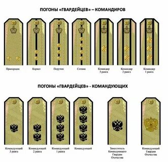 Чин ранг