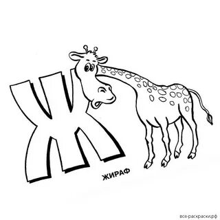 Любимая буква ж