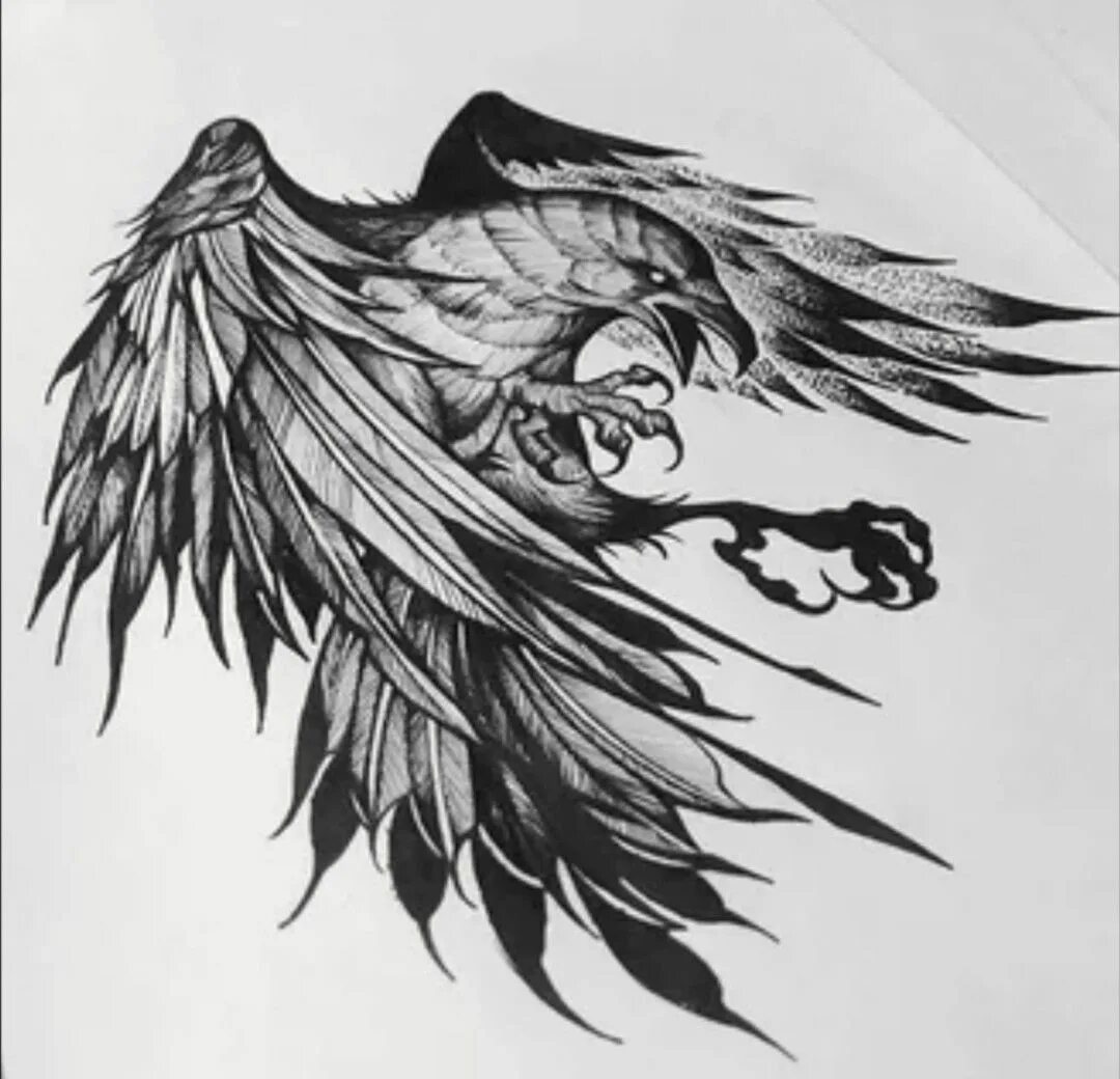 Блэкворк Феникс тату эскизы. Ворон Хугин тату. Ворон Феникс (Crow Phoenix). Тату ворон трайбл