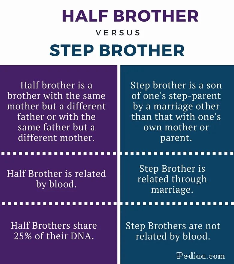 Half brother. Stepbrother and half brother difference. Half brother и Step brother разница. Half brother перевод. Half sister