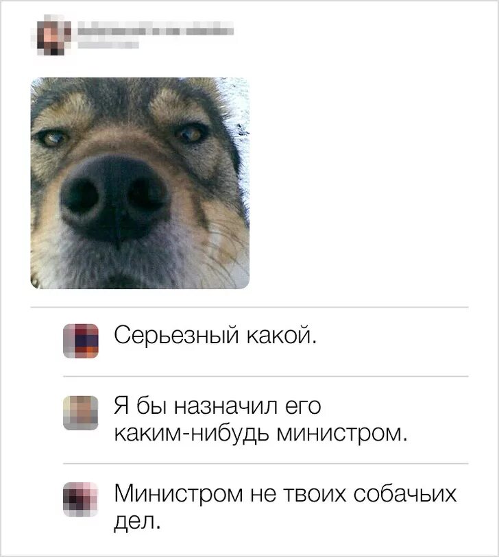 Установлен ли какой нибудь. Я бы его министром назначил. лицо серьезное я бы назначил его министром. назначил бы его каким нибудь министром. я бы сделал его каким нибудь министром.