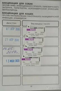 Пуревакс для кошек отзывы