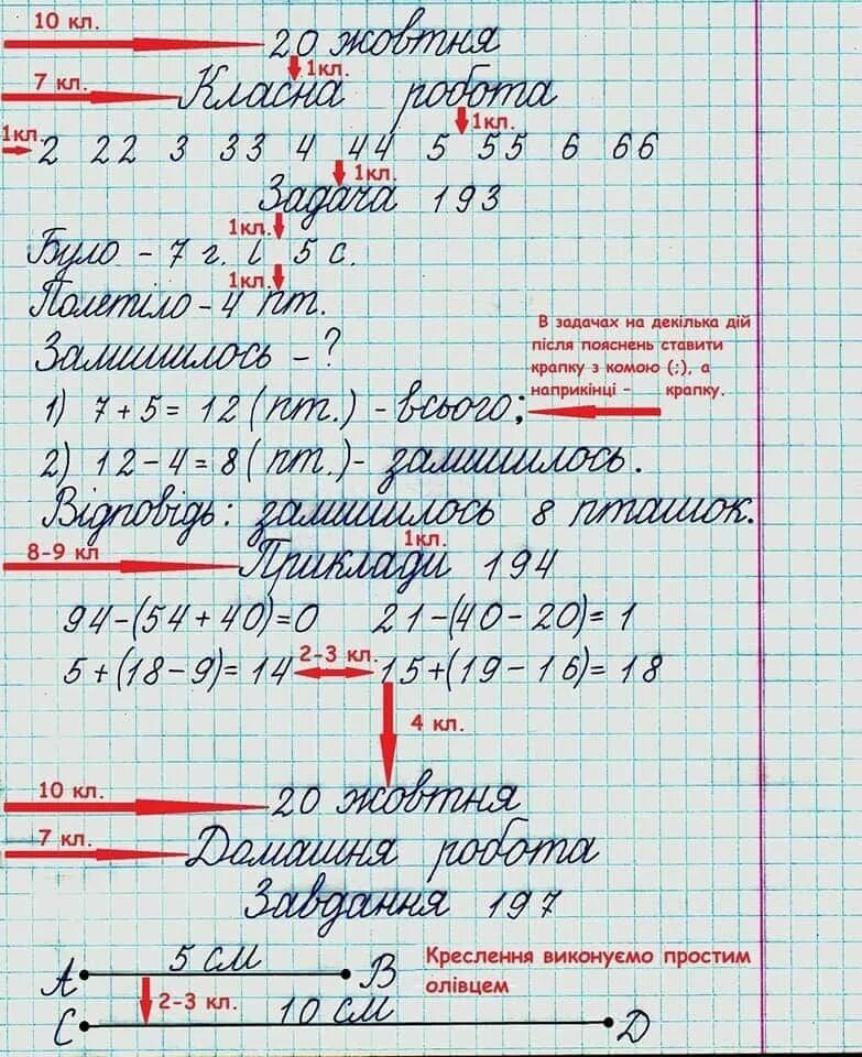 Сколько клеток в ребенке