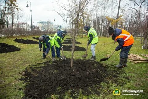 Посадка екатеринбург