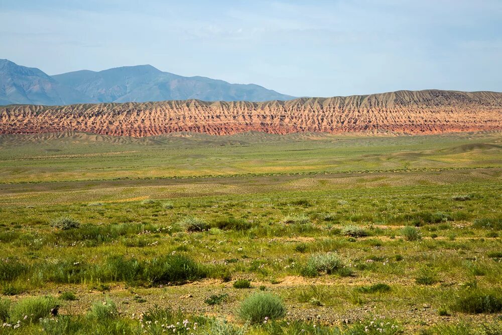 Почвы Монголии. Глинисто каменистая почва. Такыр. Такыровидные почвы фото.