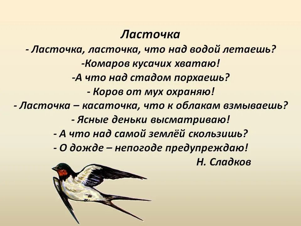 Русская пословица ласточка день начинает. Н Сладков Ласточка Ласточка. Стих про ласточку. Ласточка стихотворение. Стих про ласточку для детей.