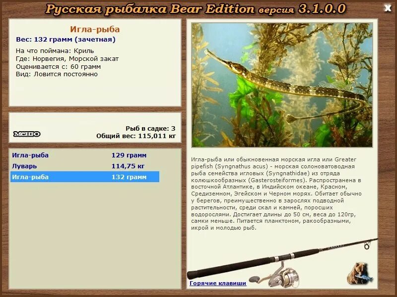 Рыба игла реальная рыбалка. Рыба игла реальная рыбалка. Рыба сарган и рыба игла. Рыба игла кипр. Pipefish перевод на русский.