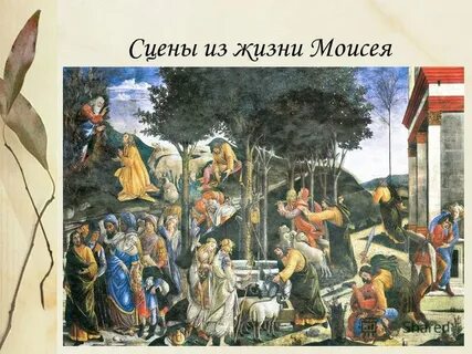 Молодость моисея