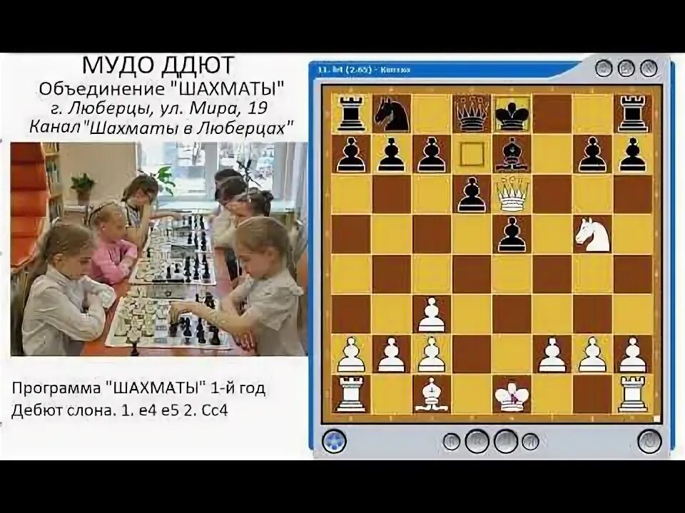 Дебют слона. Дебют слон b5. фианкеттирование слона в дебюте. дебют слонами b2 g2.