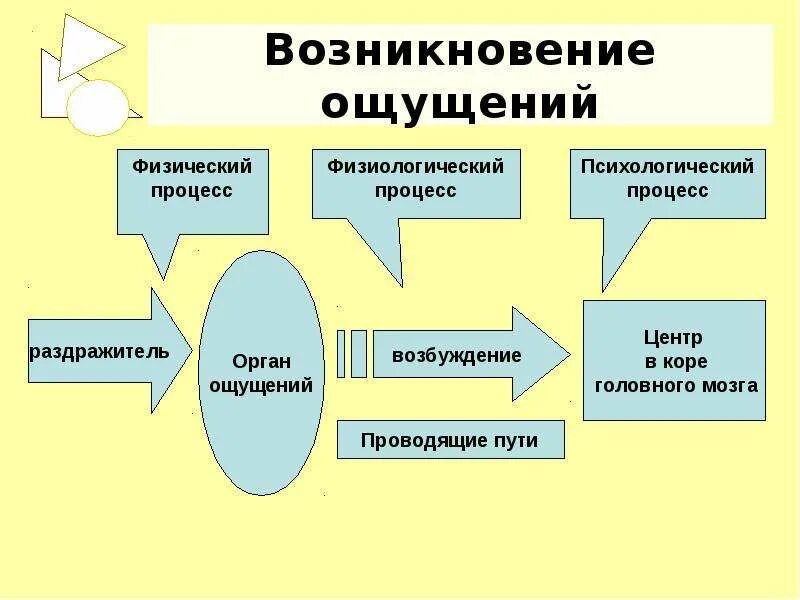 Нарушение процесса ощущения. Возникновение ощущений. Схема возникновения ощущений в психологии. Возникновение ощущений схема. Физиологические механизмы ощущений.