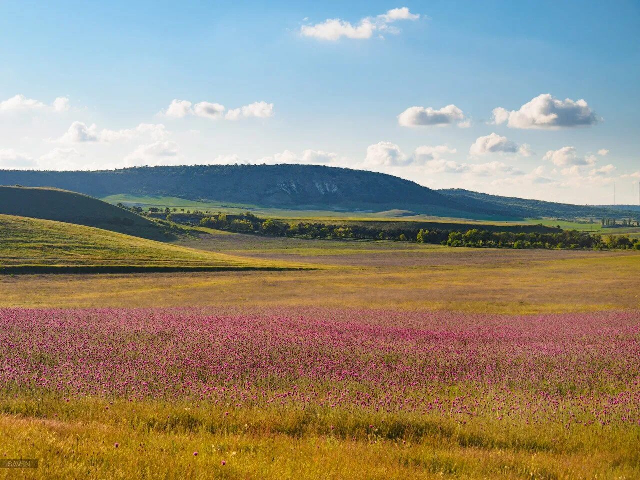 степной континентальный климат. степная зона климатические условия. континентальные степи. степной климат. степной континентальный климат.
