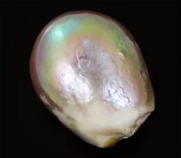 Крупнейшая жемчужина