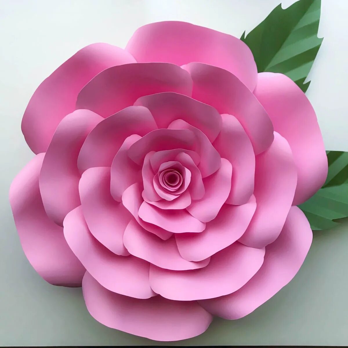 Нарисовать цветы. Красивые цветочки. Изображение большого цветка. Объемные цветы. Королевский лотос.