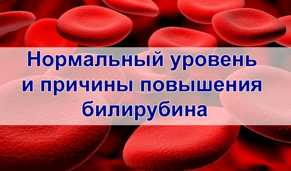 Лечение повышенного билирубина в крови. Билирубин. Билирубин картинки. Билирубин в крови что это такое. Билирубин в крови картинки.