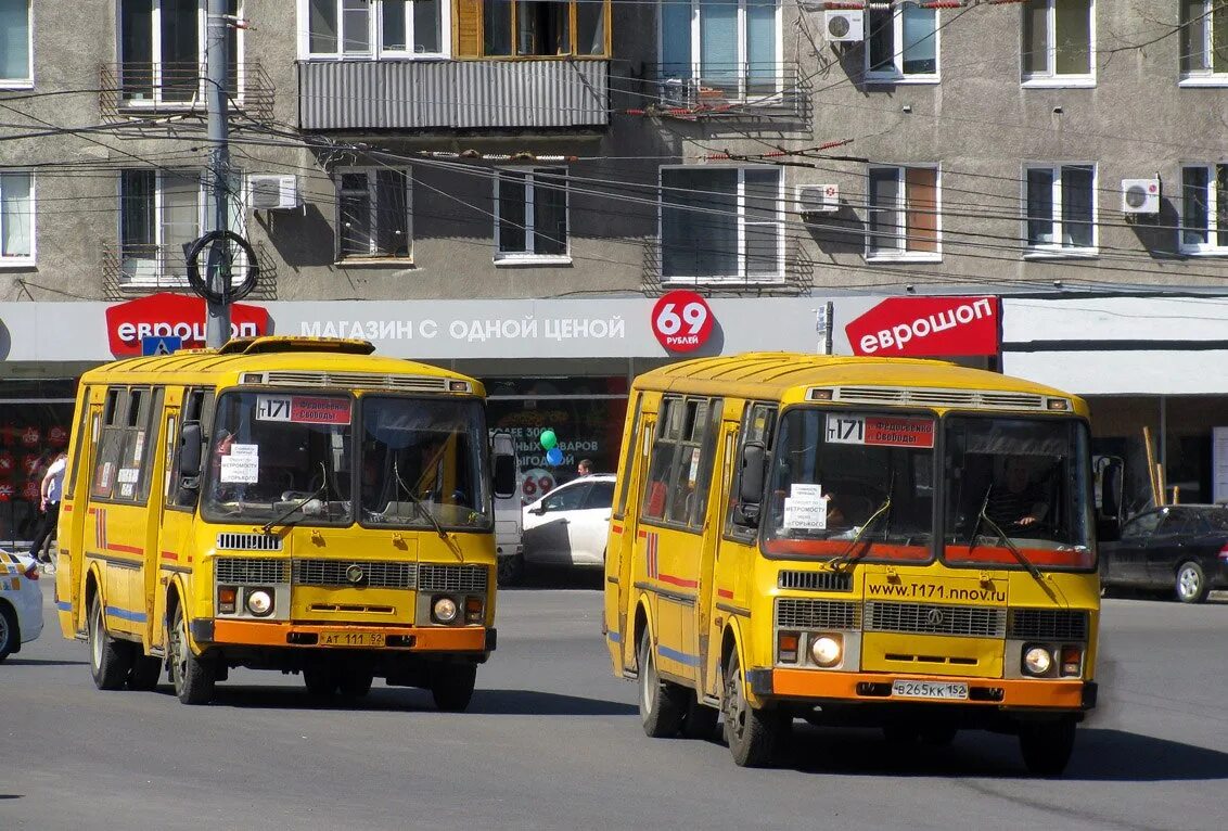 71 Автобус Нижний Новгород. Т71 Нижний Новгород. Маршрутка ПАЗ Нижний Новгород. Автобусы ПАЗ 4234 Нижний Новгород. Маршрутное т