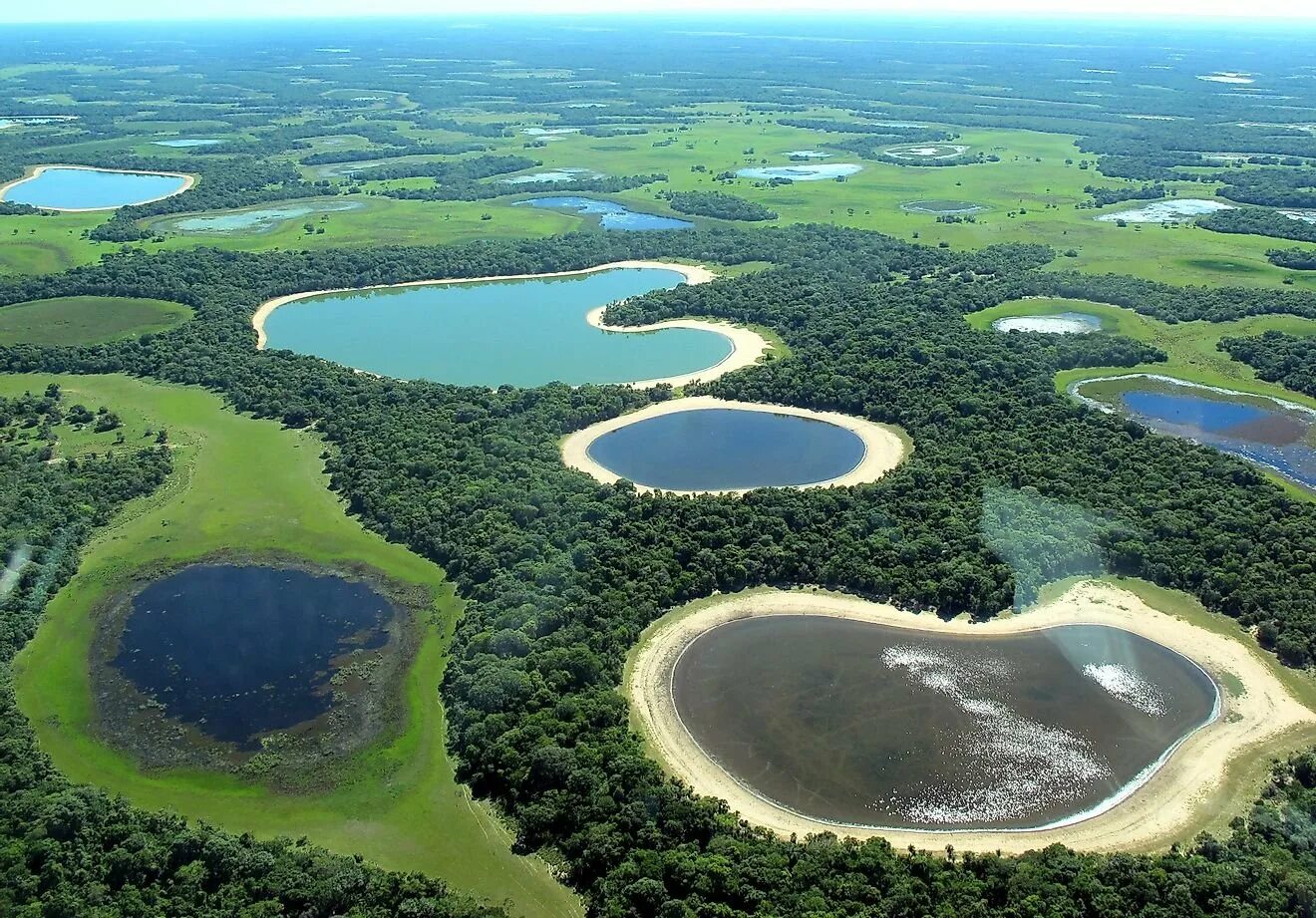 Большое пресноводное озеро в латинской америке. Болота Пантанал Бразилия. Впадина Пантанал в Бразилии. Болото Пантанал в Южной Америке. Заповедник Пантанал.