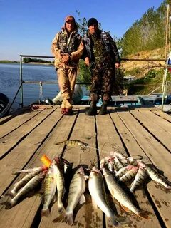 Астрахань рыбалка дикарем куда