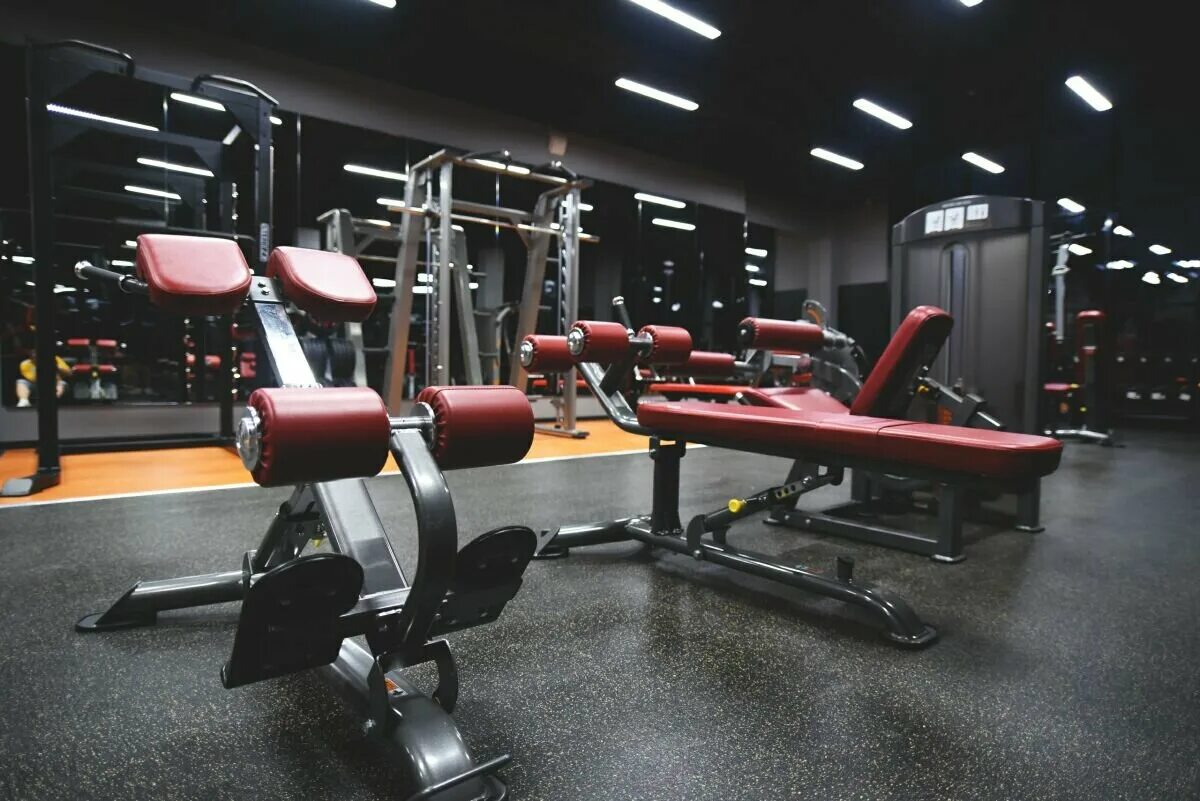 Скай джим белгород. Платинум джим белгород. Буденного 2 белгород. Спортзал sun gym белгород. Гладиатор белгород зал.