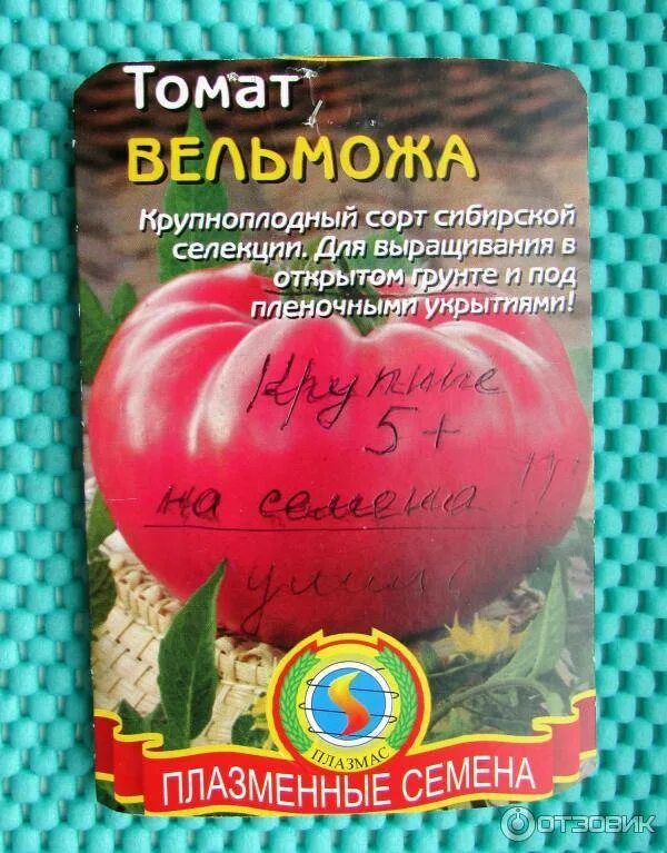 Сорт томата Вельможа. Томат Вельможа семена Алтая. Помидоры сорт спецназ. Сорт помидор Вельможа. Интуиция томат описание характеристика отзывы урожайность