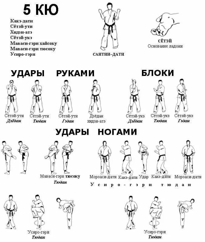 Удары на 5кю каратэ киокушинкай. Техника на 5 кю киокушинкай каратэ. Каратэ киокусинкай кихон. Каратэ киокусинка Кохон на 6 кю.