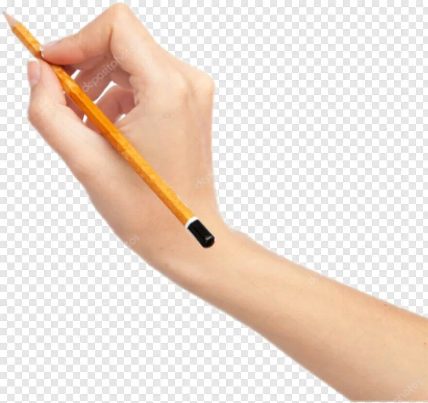 Руки карандашом. Женская рука карандашом. Рук с карандашом без фона. Рука с карандашом на белом фоне.