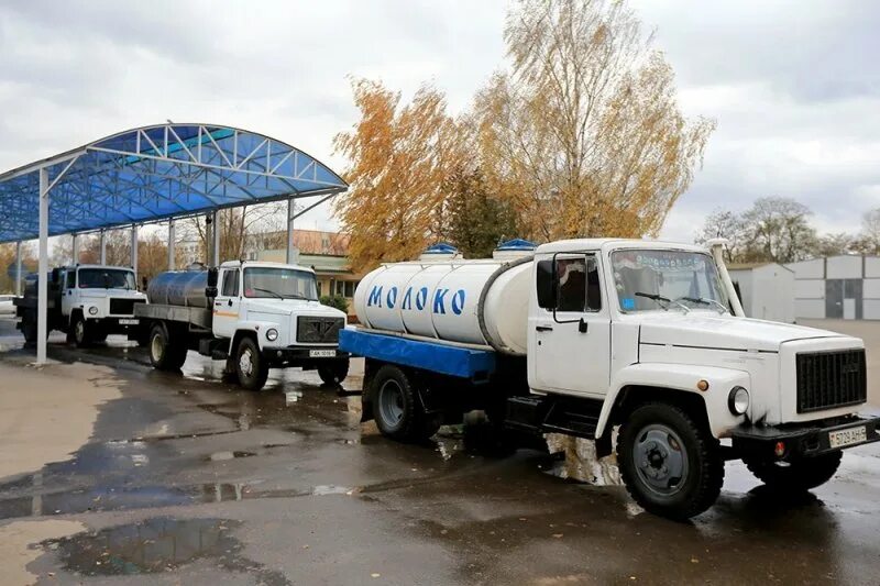 Слуцкий сыродельный комбинат. Слуцкий сыродельный комбинат продукция. Слуцкий сыродельный комбинат. Филиалы слуцкого сыродельного комбината. Филиалы слуцкого сыродельного комбината.