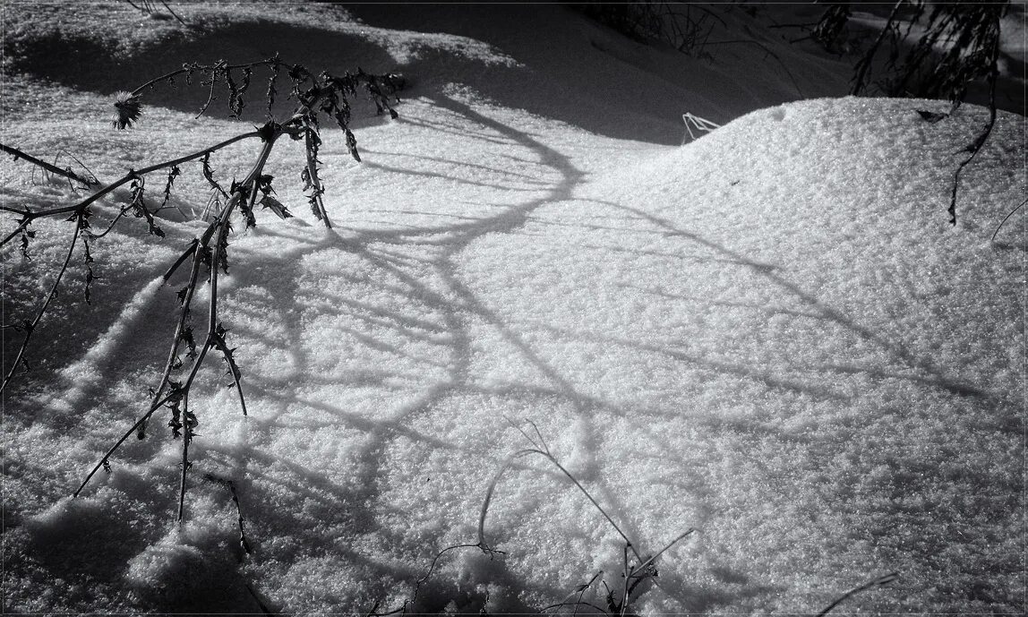 Winter shadows