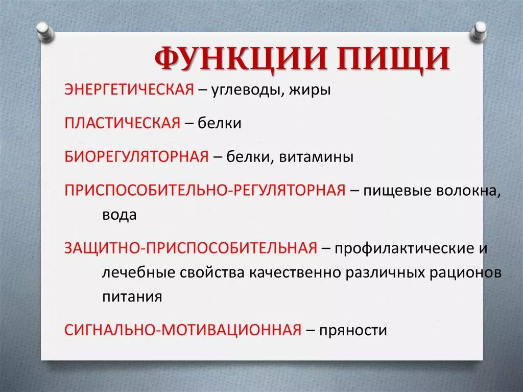 Функции пищи. Основные функции питания. Основные функции пищи. Основные жизненные функции питания..