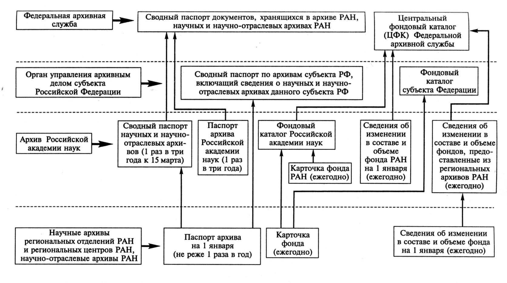 Организация архивного фонда РФ схема. Структура архивного фонда РФ схема. Схема управления архивным делом в России. Структура архивных учреждений РФ.