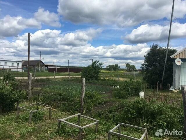 Старое Славкино Пензенская область ягоды. Купить дом в Пензенской области с старое Славкино.